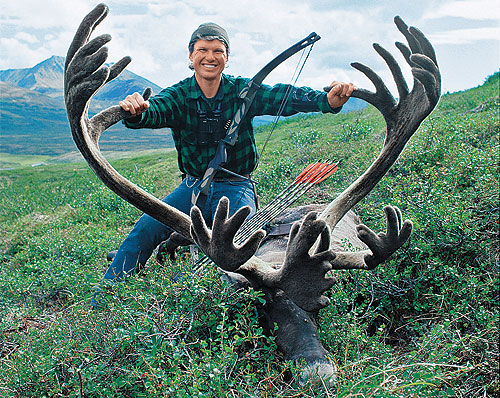 Alaska Magazine  Caribou Antlers: A Means of Seduction