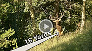 BWnewsl_090711vPL_186