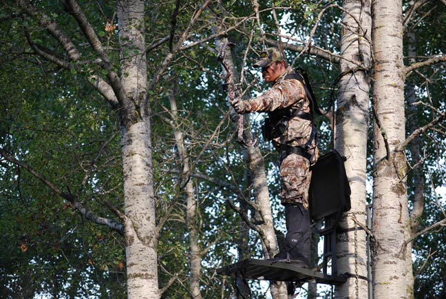 TreestandTactics