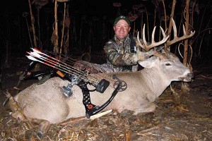 deer decoys