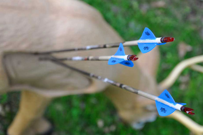 practice-archery-at-odd-angles