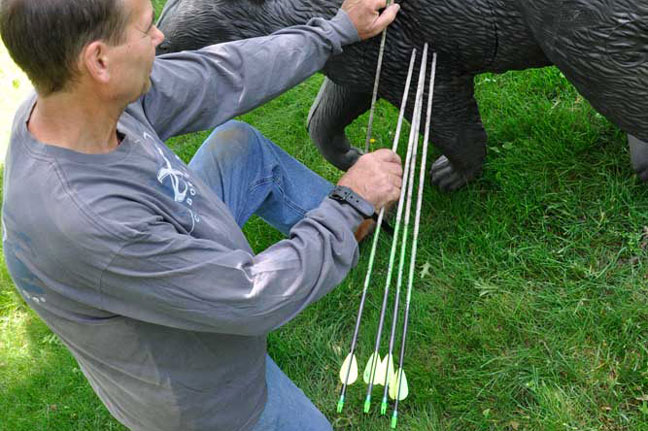 shoot-your-bow-at-the-same-species