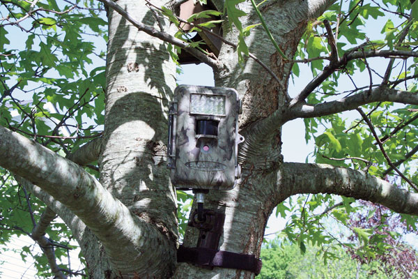 treestand_theft_prevention tactics
