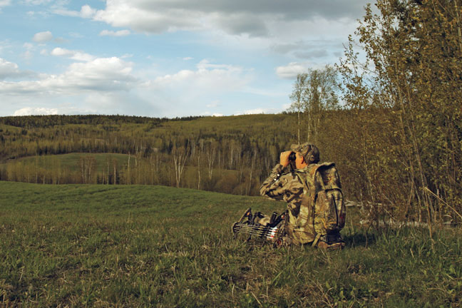 bear-hunting-spot-and-stalk
