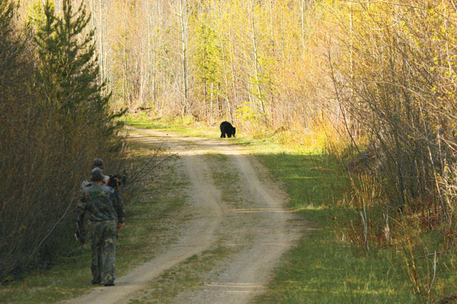 british-columbia-bear-hunting-