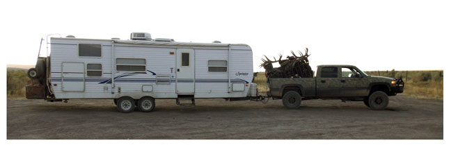 bowhunting-elk-tips