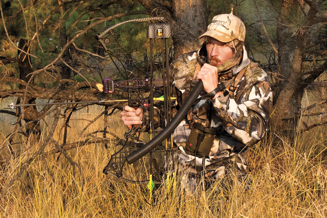 elk-hunting-tips