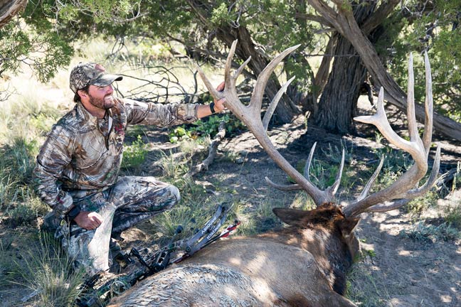 archery-new-mexico-bull