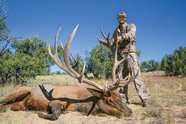 record-new-mexico-bull