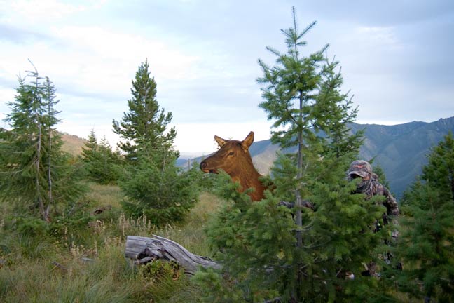bowhunting-elk-gear-and-essentials