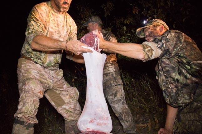 Field Dressing