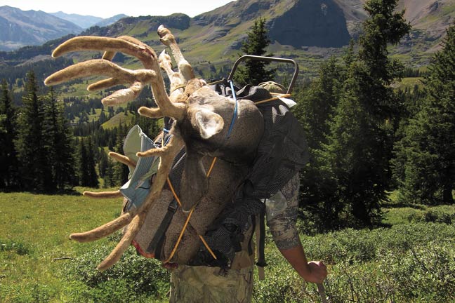 randy-ulmer-on-bowhunting