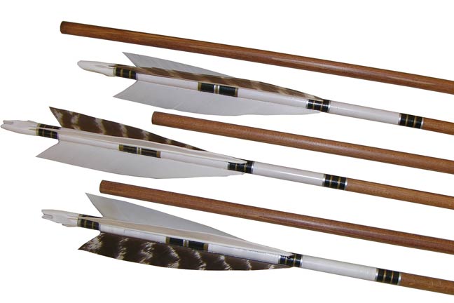 Whitetail Arrow 7