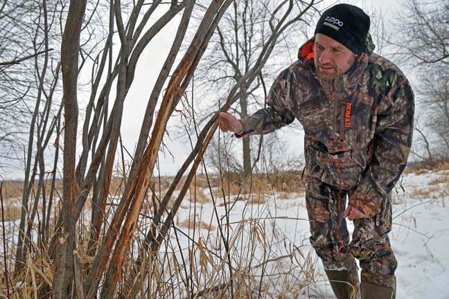 Winter-Whitetail-Work