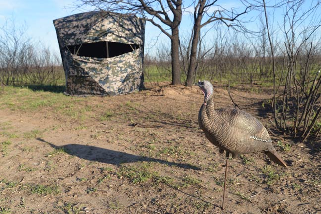 Turkey-Blinds