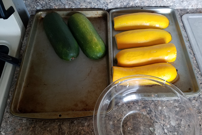 Venison-Zucchini