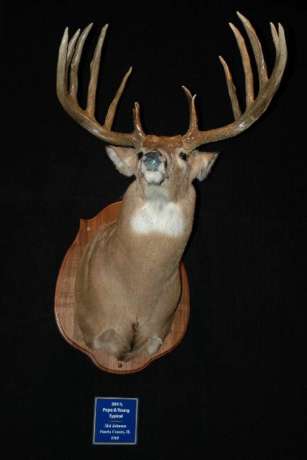 Mel-Johnson-Record-Buck