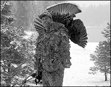 27 Turkeys: How to Hunt Turkeys