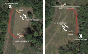 deer decoy positioning