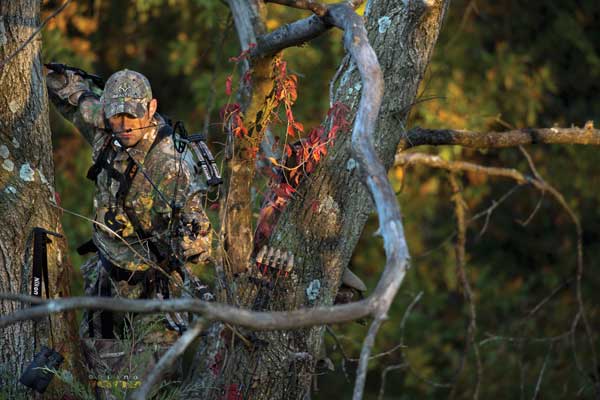 bowhunting fitness