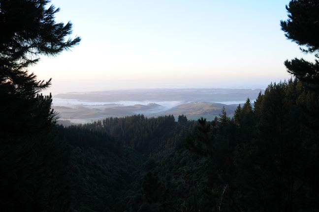 new-zealand-hunting-8