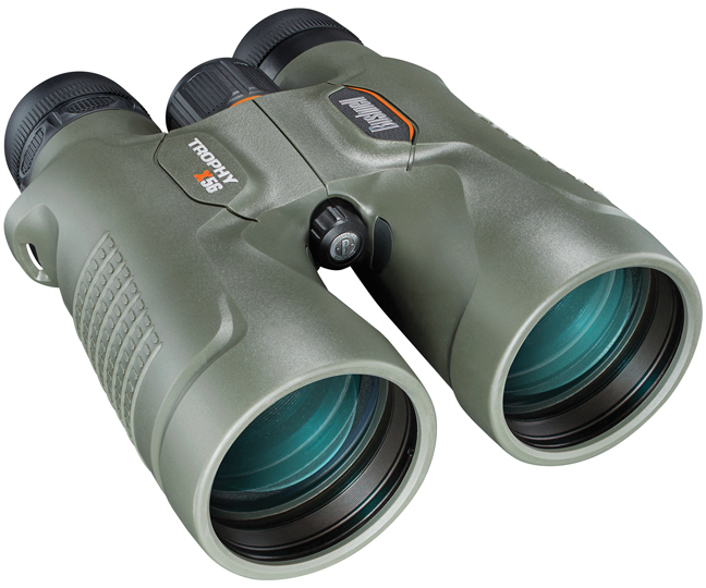 Bushnell