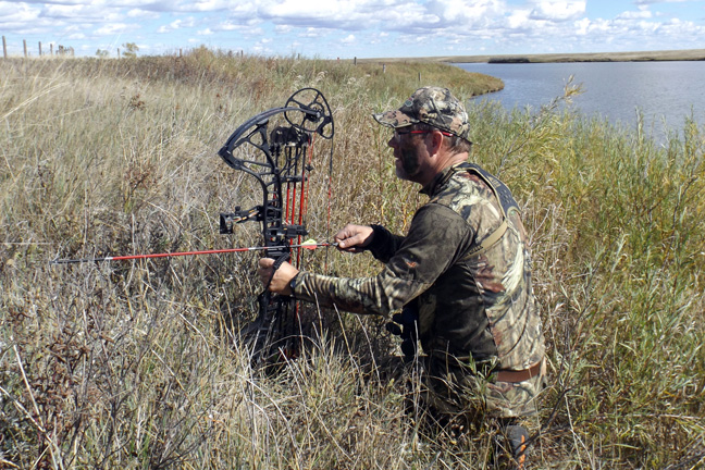 Prairie-Mule-Deer