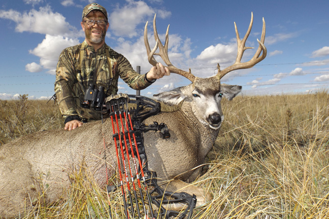 Prairie-Mule-Deer