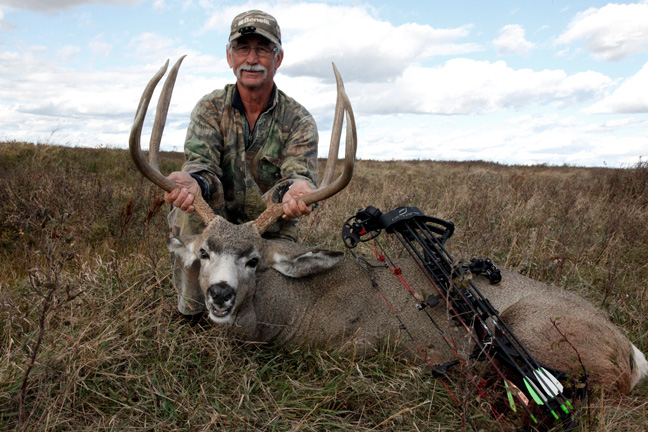 Prairie-Mule-Deer