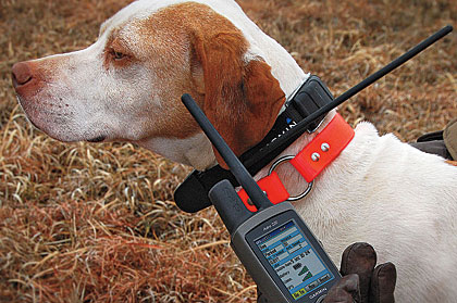 hunting dog tracking system