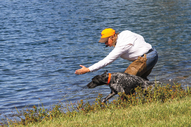 Training Dogs Through the NAVHDA