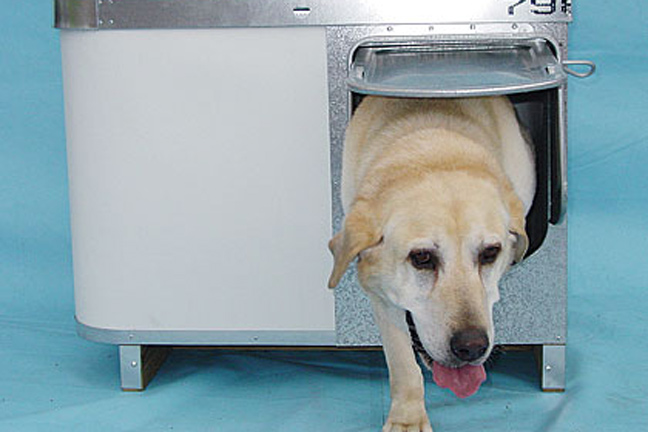 K-9 Kondo Dog House