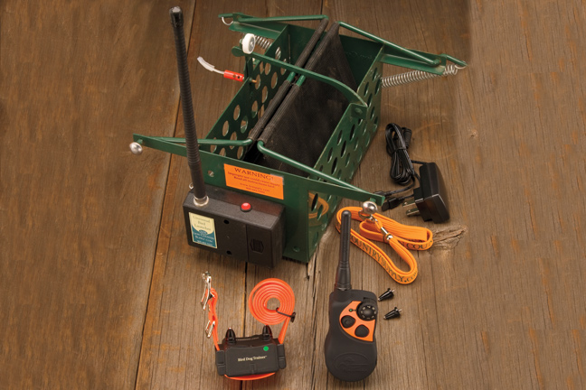 Bird Dog Training Tool