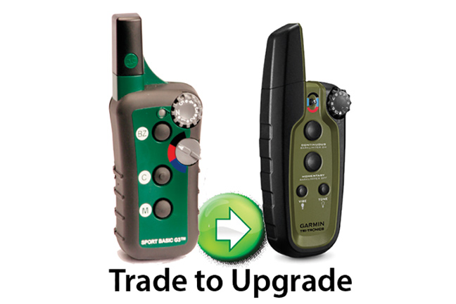 Best Gear for Dog Training