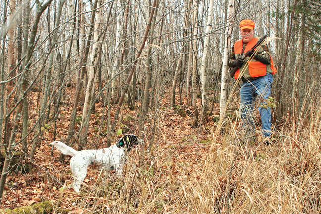 Developing a Great Grouse Dog
