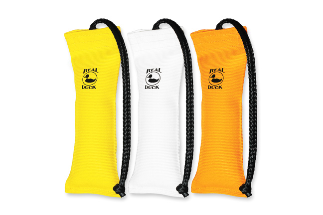 Dummies for Dog Training