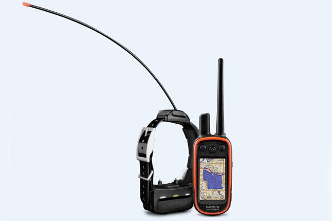 GPS Collars for Dog Training