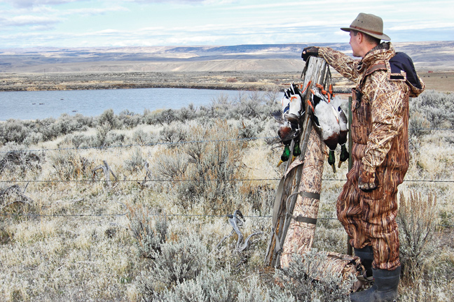 Public Land Hunting Destinations