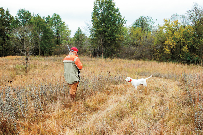 Field Testing the Viper G2 Shotgun