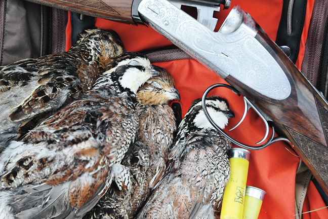 Top Public Land Hunting Destinations