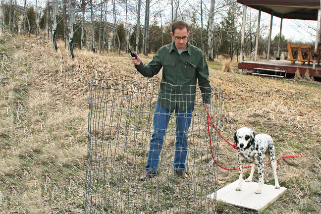 Training Your Gun Dog the Whoa Command