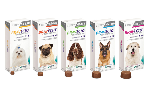 Great New Dog Nutrition Products