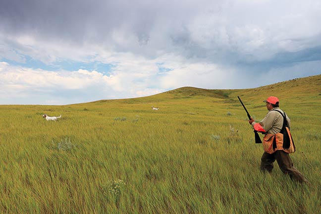 how-to-keep-your-dog-hunting-forward