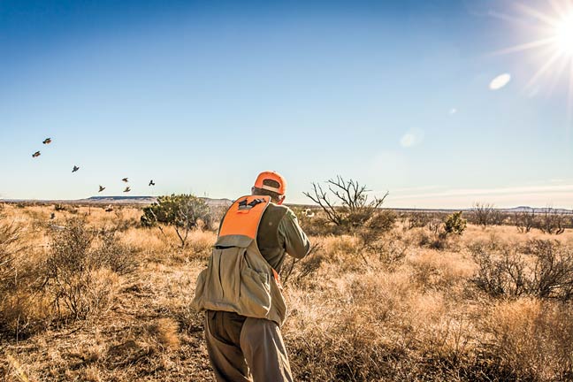 rolling-plains-quail-research-ranch