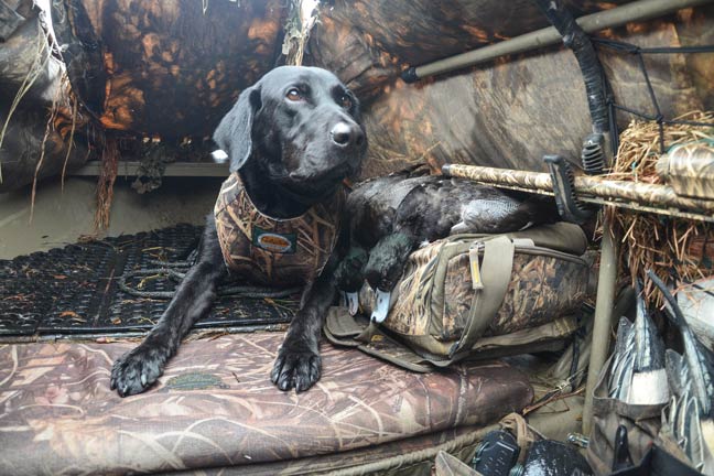 waterfowling-Pacific-Flyway
