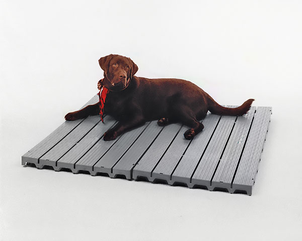 6.-Kennel-Deck-GUDP-170800-EKEN-004