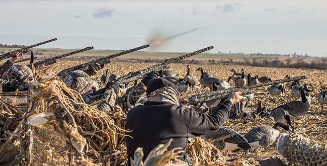 Hunting-Waterfowl