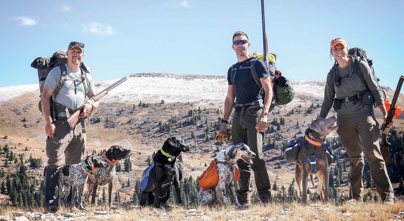 The Ptarmigan Summit
