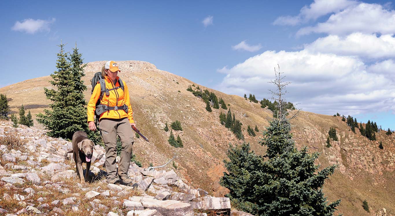 The Ptarmigan Summit