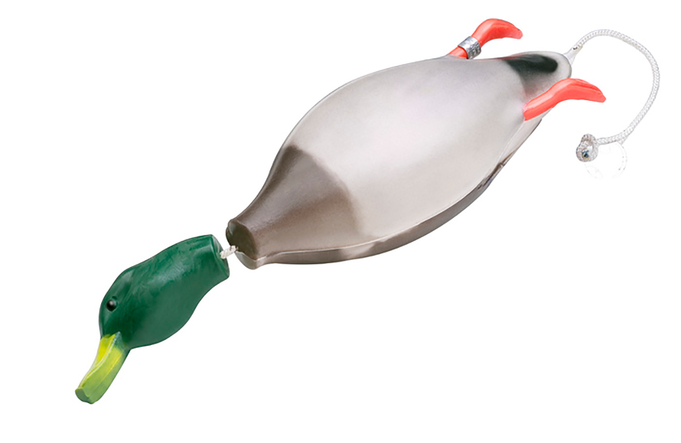 Dokken DeadFowl Trainer